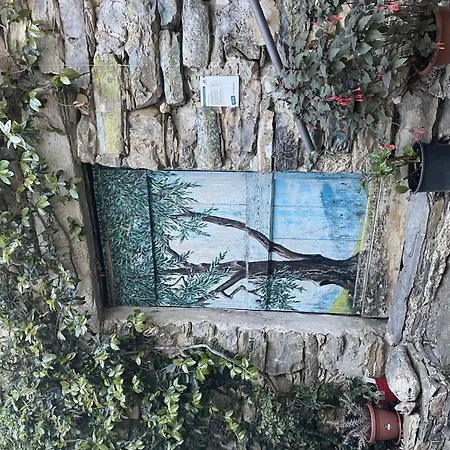 Rosa - Vlo201 By Interhome Lägenhet *