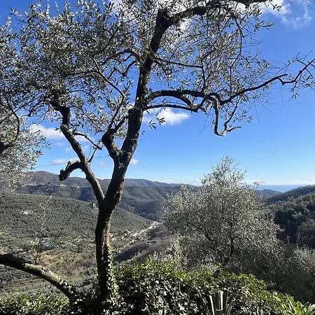 Rosa - Vlo201 By Interhome Lägenhet Lecchiore