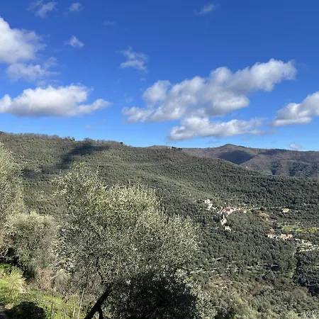 Rosa - Vlo201 By Interhome Lecchiore