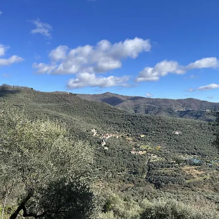 Rosa - Vlo201 By Interhome