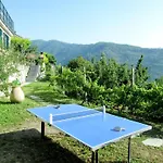 Rosa - Vlo201 By Interhome