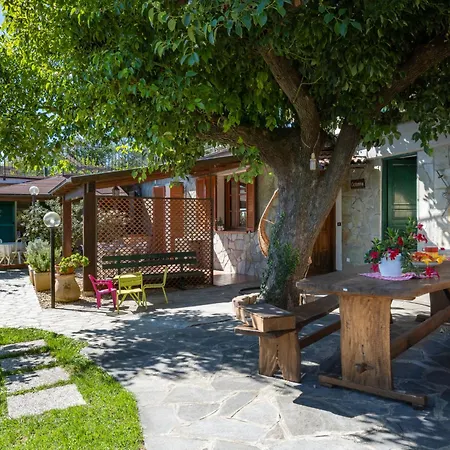 Rosa - Vlo201 By Interhome Apartman Lecchiore