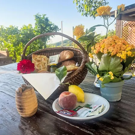 Rosa - Vlo201 By Interhome Apartman